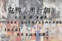 黑打朝 片段