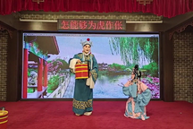 宛梆《狸猫换太子》上部3部 经典戏曲全本下