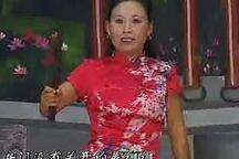 河南坠子 大明奇冤 胡银花 18集 经典长篇曲