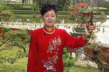 莫红梅 河南坠子 大红袍 22部 经典传统书目