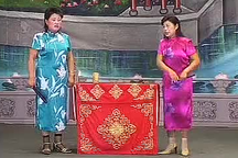河南坠子 大清血头案 全8部