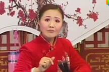 莫红梅河南坠子《王莽赶刘秀》30部全剧下载