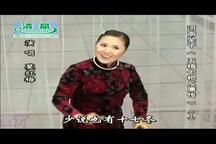 河南坠子 五梅七枪反唐传 莫红梅 6部 全本戏曲下载