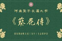 河南坠子《葵花传》全本 长篇传统大书正版全场戏音频下载