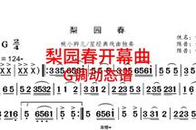 梨园春开幕曲 片段