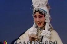 河北梆子名家王洪玲经典唱段选集31部 河北