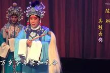 狸猫换太子下载