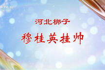 穆桂英挂帅 中国戏曲像音像集萃