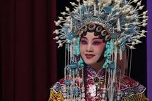 河北梆子《秦英征西》王洪玲、金民和 全剧2部