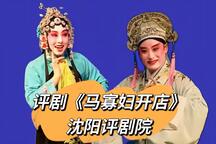 评剧马寡妇开店全剧