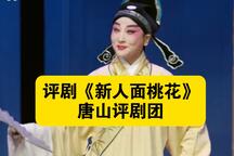 新人面桃花