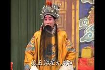 砸銮驾 全剧下载