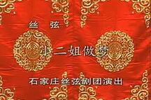 小二姐做梦