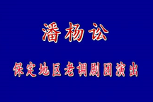 潘杨讼 保定老调舞台版实况全剧戏曲下载