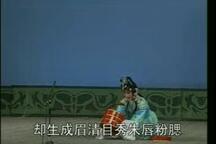 狸猫换太子 连台本戏第一本（1）