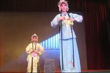河北保定老调合集8部 经典地方戏曲全本选段