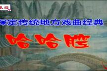 河北保定哈哈腔11部全场戏下载 稀有剧种哈哈腔经典剧目