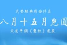 盘坡 八月十五月儿圆 伴奏