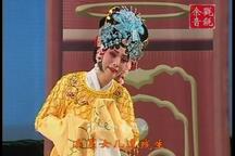 武安平调落子名段精选14部 经典传统戏曲唱