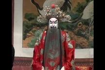 河北北方坠剧（深泽坠子）《南阳泪》《王宝童篡御状续泗水关》全剧11部