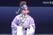 真假牡丹