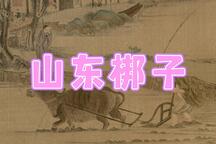 大辕门 选段
