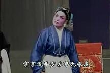 莱芜梆子王华下书2部 经典传统戏曲全本
