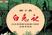 白兔记 井台 选段下载
