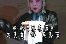 秦香莲·见皇姑 选段