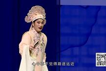 柳琴戏 梁山伯与祝英台 戏曲全剧下载