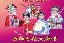 罗家将系列五梅七枪反唐传琴书全104集63部