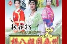 杨八姐闯幽州杨六郎盗尸 杨家将系列琴书全5