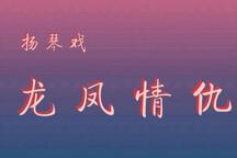 龙凤情仇 琴书全22集 长篇传统琴书经典曲目