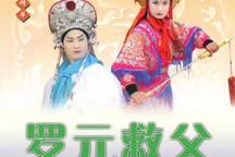 罗家将系列罗元下山琴书全26集24部