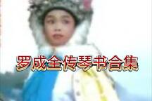 响马传罗成全传琴书合集13部 经典琴书全本