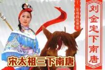 赵匡胤高家将系列宋太祖三下南唐刘金定下南唐琴书全32集