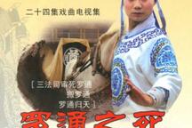 琴书罗家将系列罗通扫北后续罗通归天全本 罗通归天长篇琴书全剧