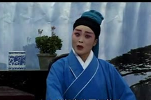 琴书 银河走国29部