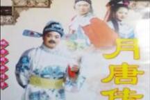 月唐传 琴书全集61部 经典传统月唐系列琴书全本