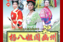 琴书《杨八姐闯幽州》 张银侠 刘汉飞 王道