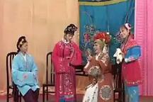 琴书孟丽君全本下载 琴书孟丽君38集完整版