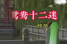 鸳鸯十二迷