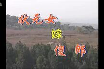 女状元嫁傻郎