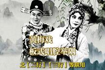 山伯访友 选段