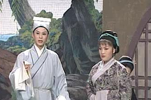 庐剧《卖花姑娘》盛小五 夏巧云4部