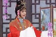 庐剧秦雪梅全本盛小五夏巧云汪国文在线收听