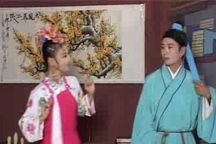 庐剧《癞蛤蟆想吃天鹅》王小五 昂小红5部