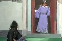 庐剧《恶媳妇》(恶婆娘) 武道芳，魏晓五 ，2部