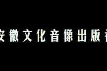 庐剧双帕妻 全场