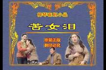 苦女泪泗州戏全剧下载，安徽苦情戏经典唱段合